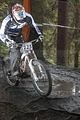 334__DSC0334 (2)